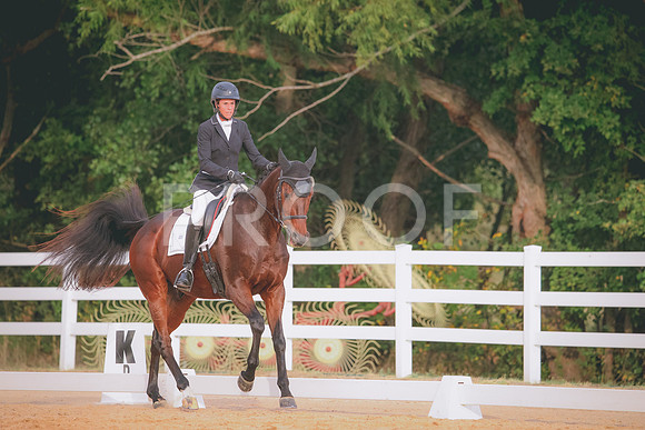RWP_2355
