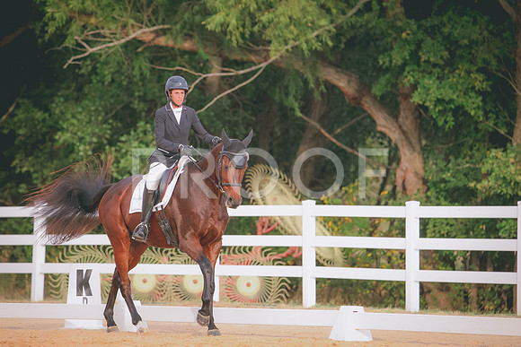 RWP_2356