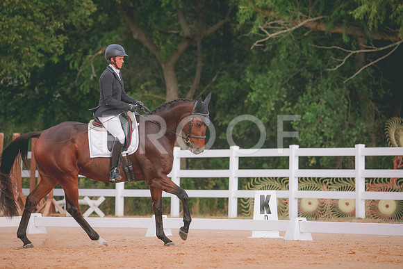 RWP_2362