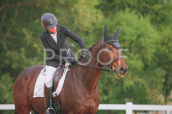 RWP_2377