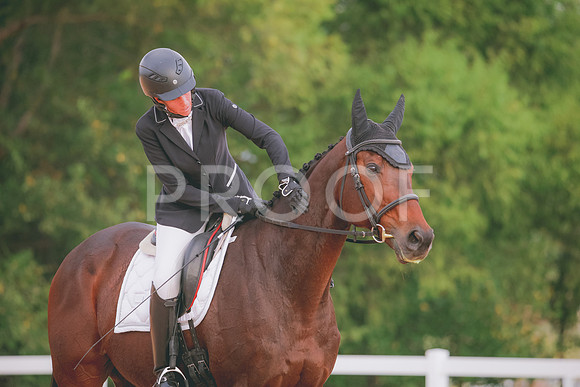 RWP_2378
