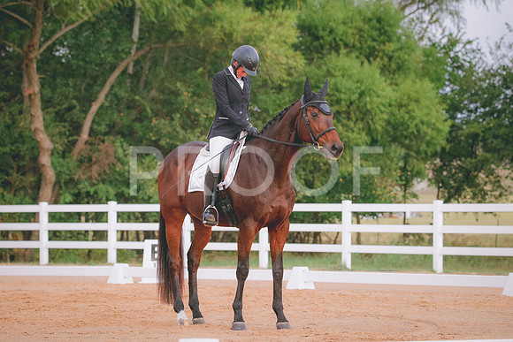 RWP_2376