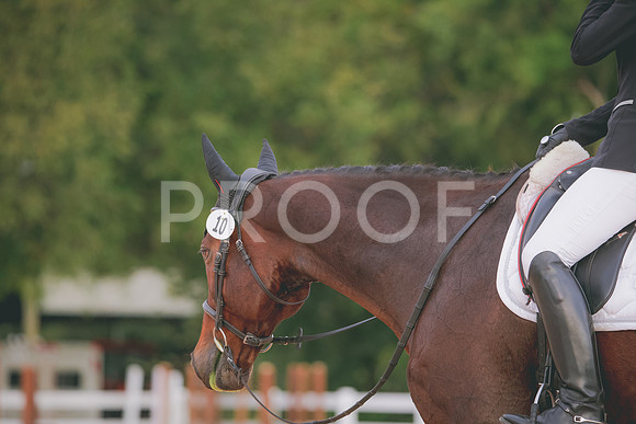 RWP_2380