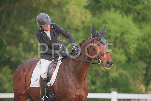RWP_2379