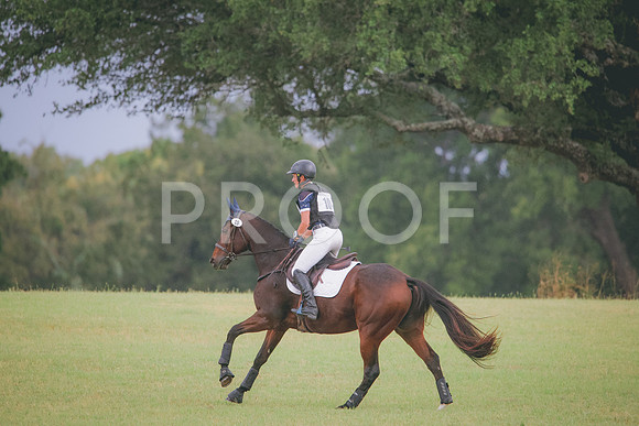 RWP_4011