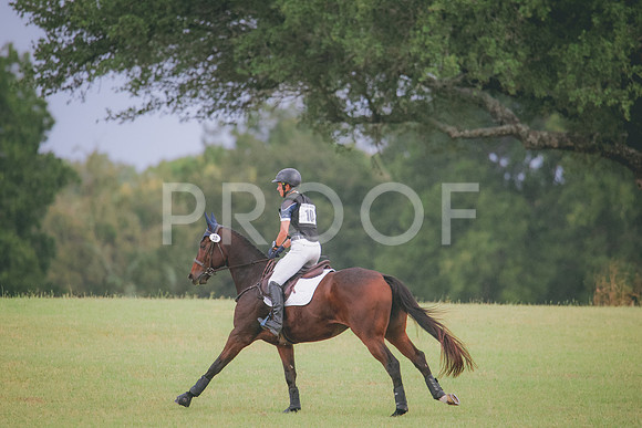 RWP_4013