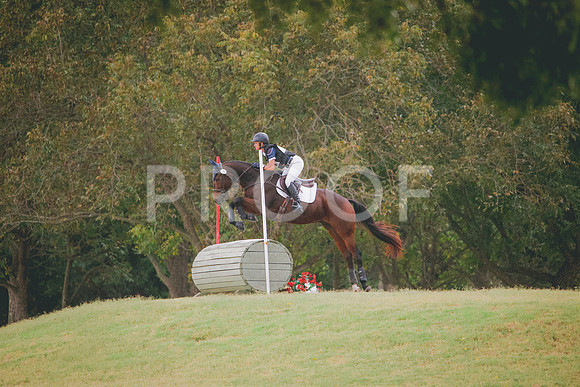 RWP_4019