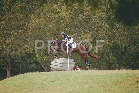 RWP_4020