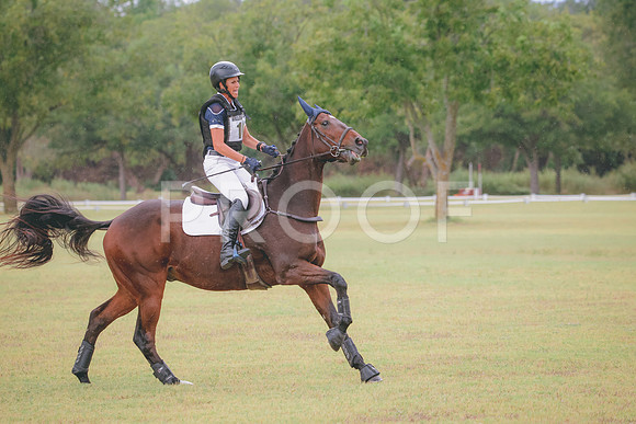 RWP_4029