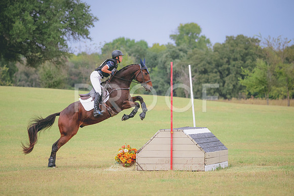 RWP_4033