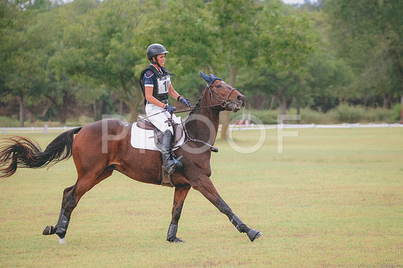 RWP_4031
