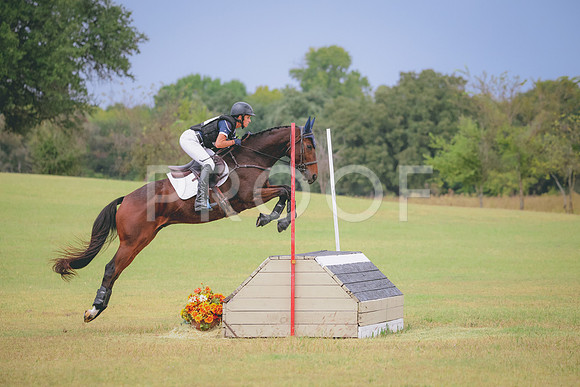 RWP_4035