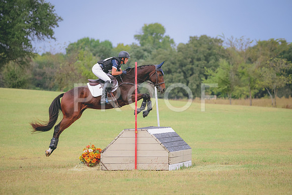 RWP_4036