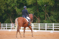 RWP_2391