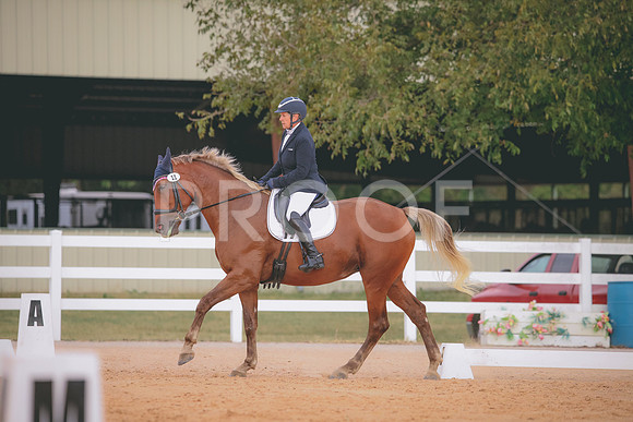 RWP_2407