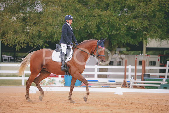 RWP_2410
