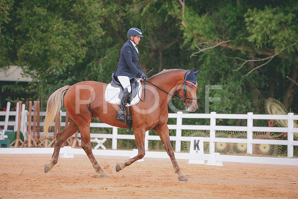 RWP_2416