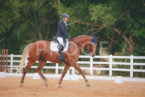 RWP_2421