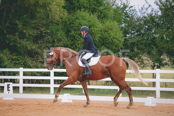 RWP_2428