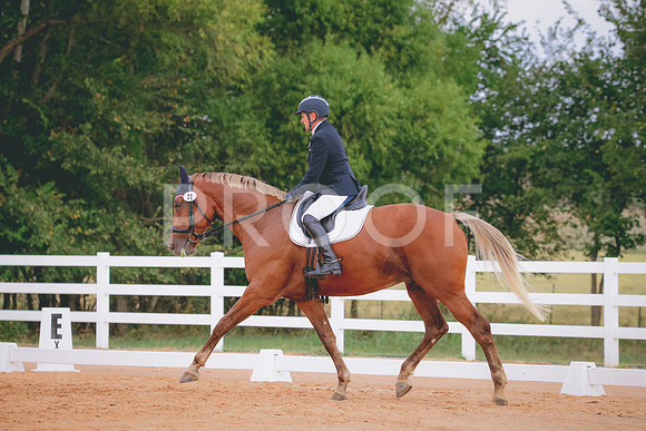 RWP_2429