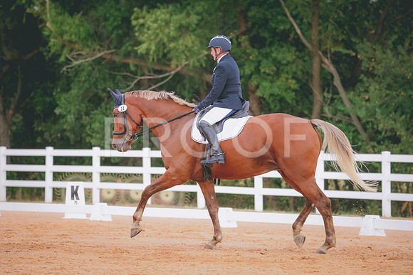 RWP_2434