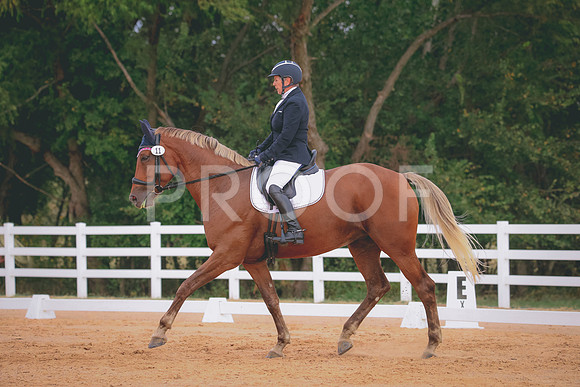 RWP_2453