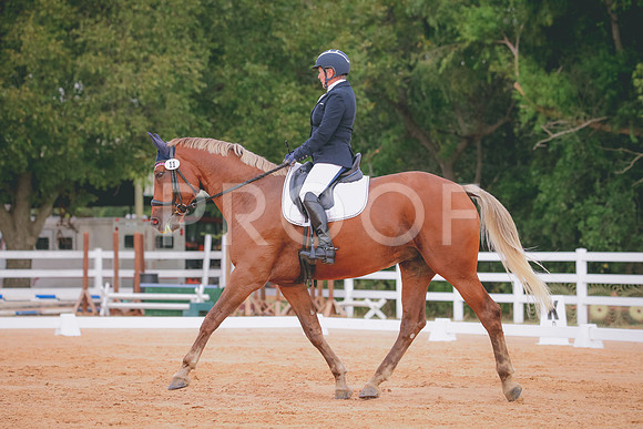 RWP_2456