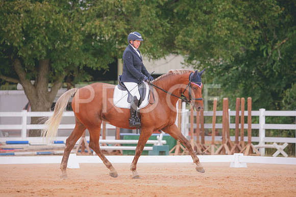 RWP_2460