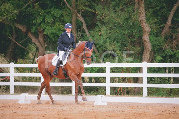 RWP_2469
