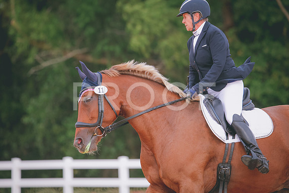 RWP_2475