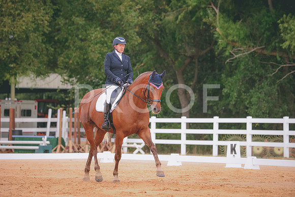 RWP_2486