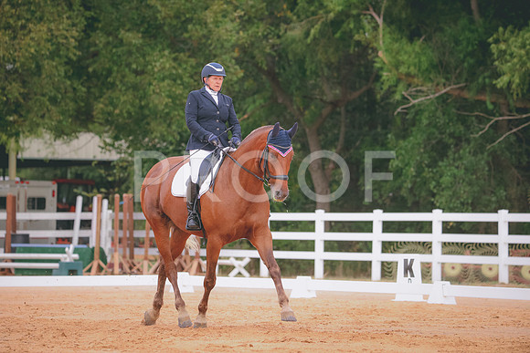 RWP_2487