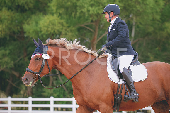 RWP_2498
