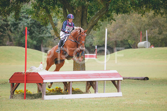 RWP_4078