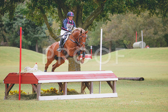RWP_4079