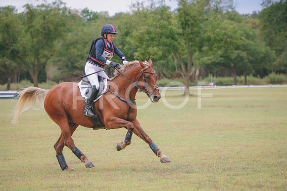 RWP_4085