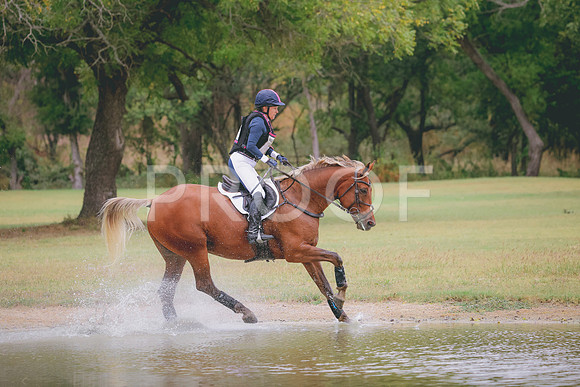 RWP_4095
