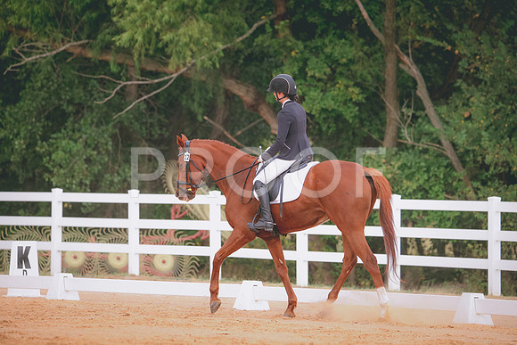 RWP_2507