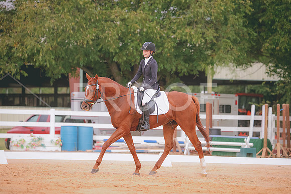 RWP_2509