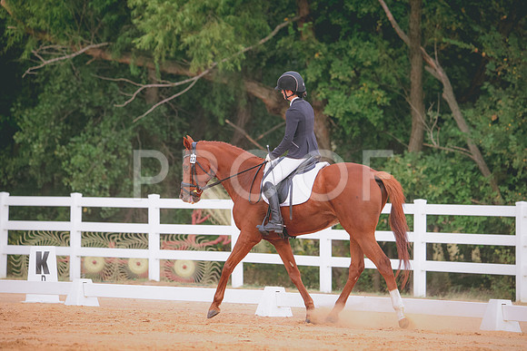 RWP_2508