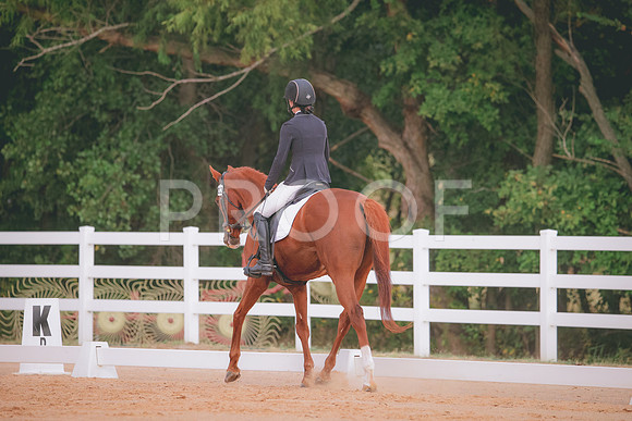 RWP_2512