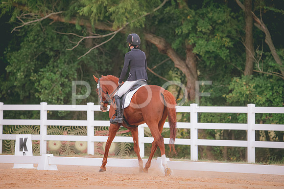 RWP_2513