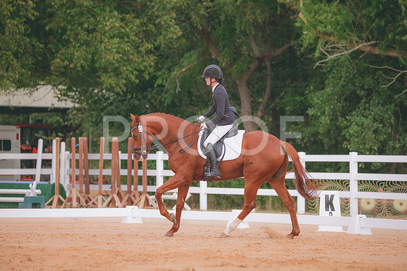 RWP_2517