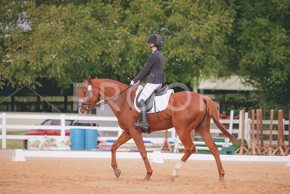 RWP_2526