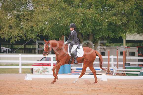 RWP_2519
