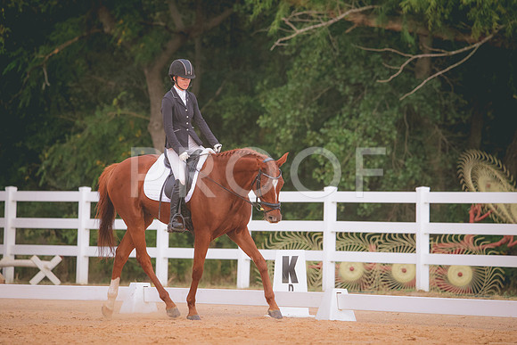 RWP_2532