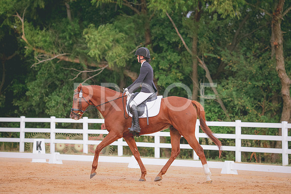 RWP_2522