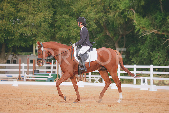 RWP_2539