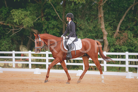 RWP_2535