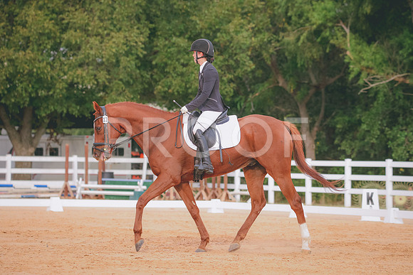 RWP_2540